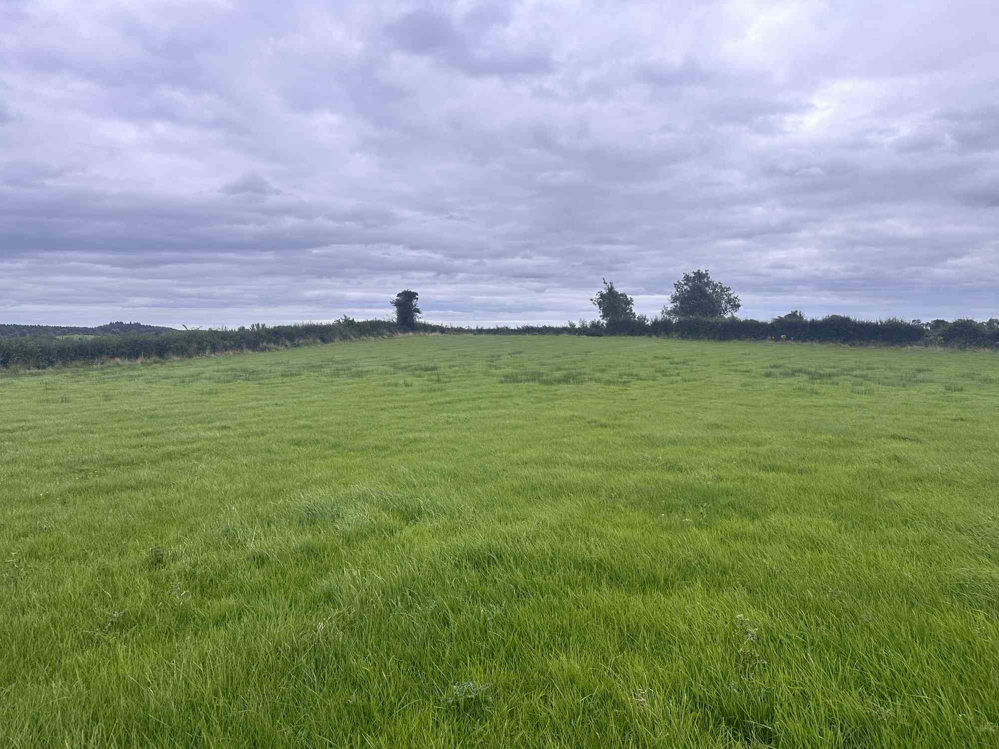 c.15.75 acres at coraghy clones, Clones