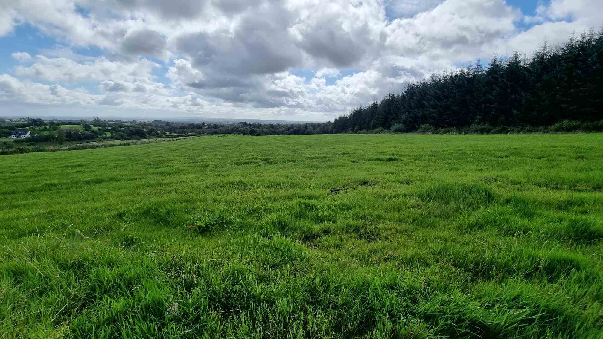 c.12.80 acres at bragan carrickroe, Carrickroe