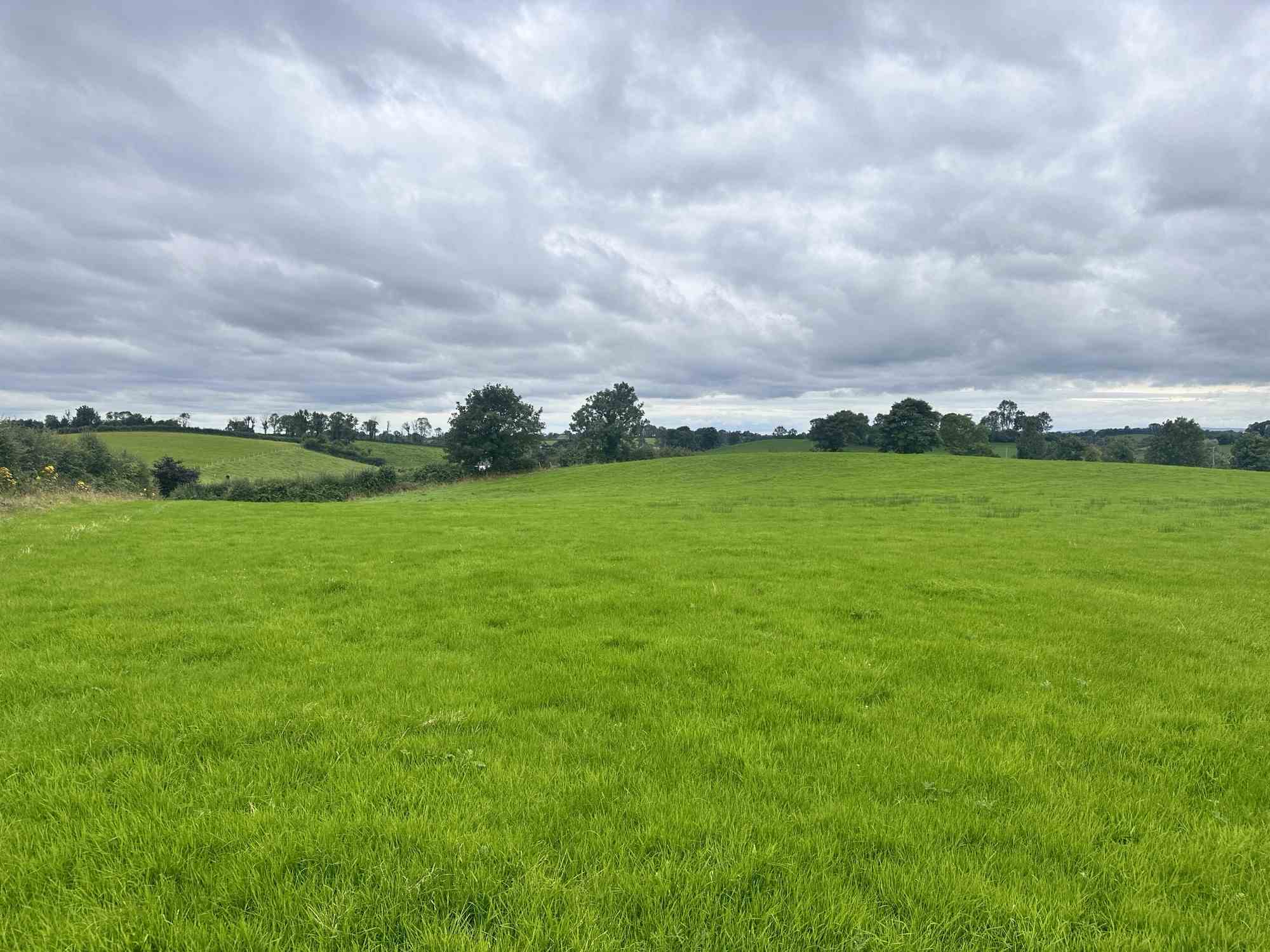 c.15.75 acres at coraghy clones, Clones