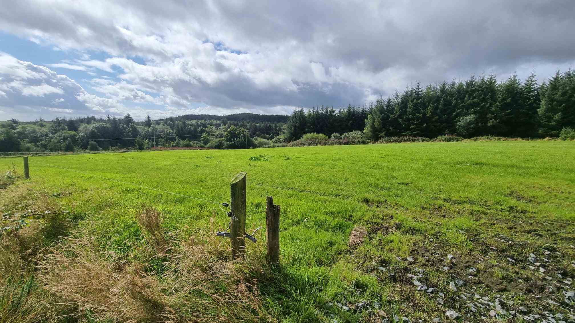 c.12.80 acres at bragan carrickroe, Carrickroe