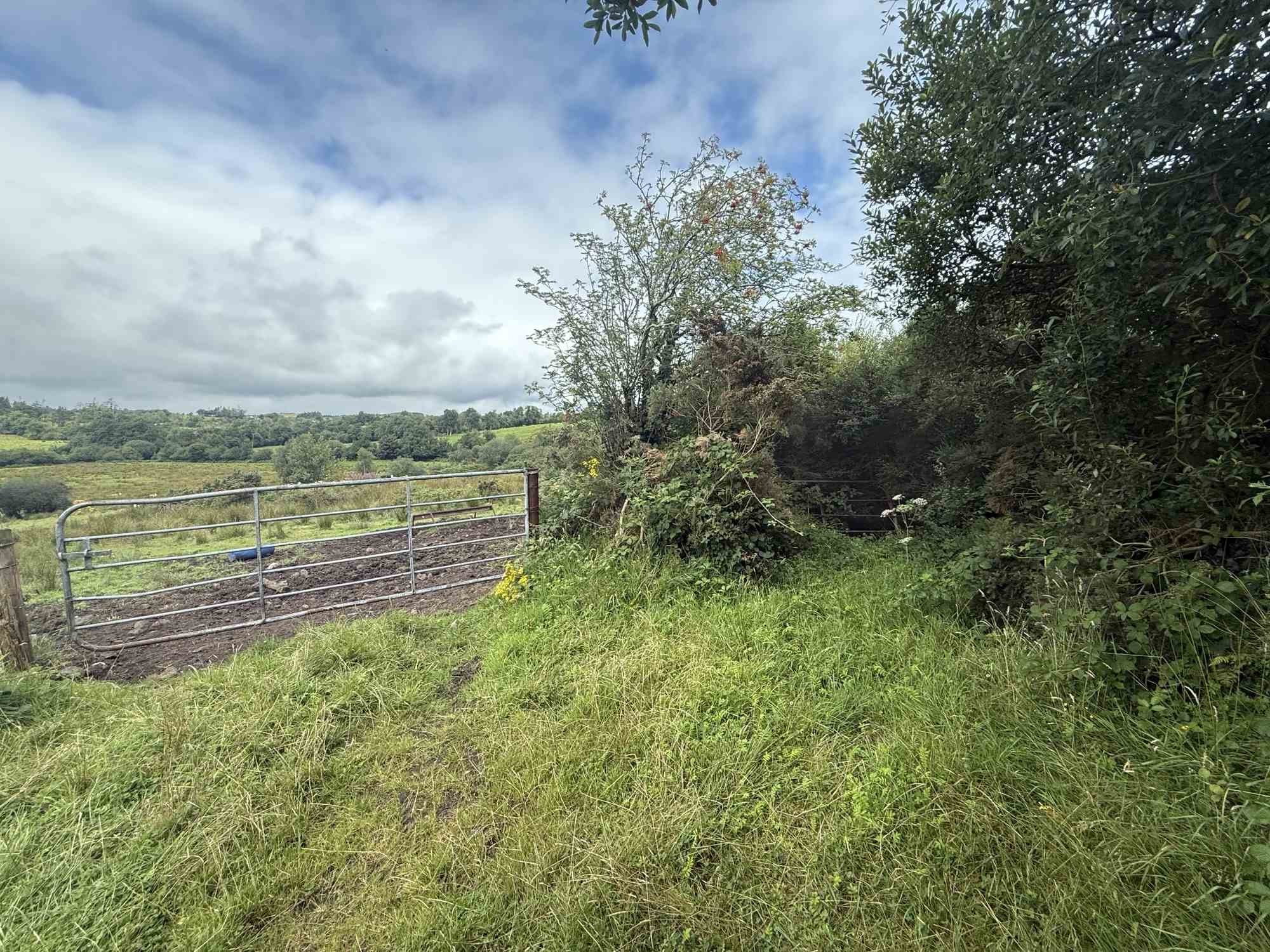 c.23ac at cloghfin carrickroe, Carrickroe