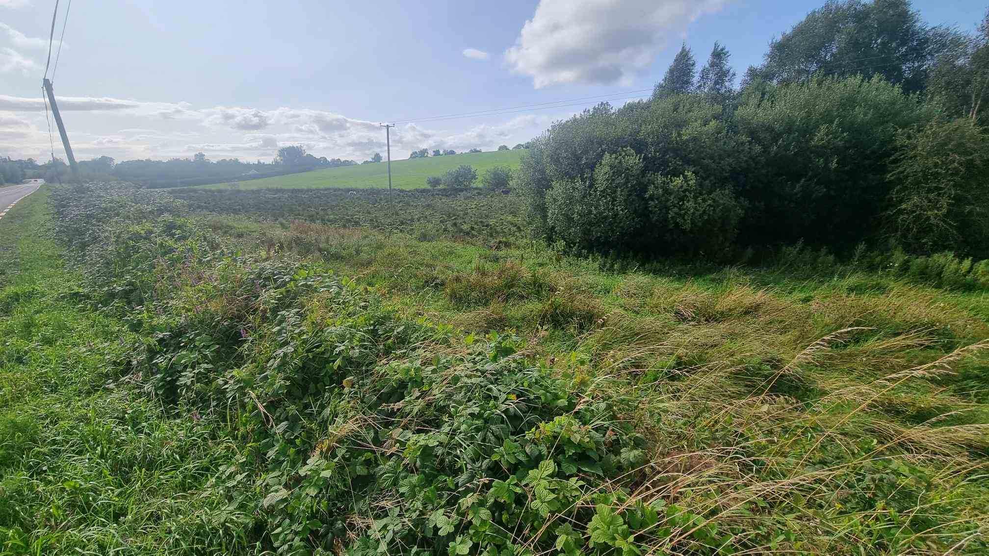 c.25 acres at clonlura drummully clones, Clones