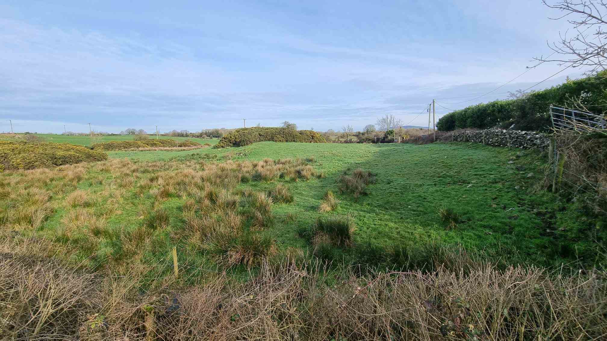 c.35.45 ac colgagh and aughrim beg inniskeen, Inniskeen