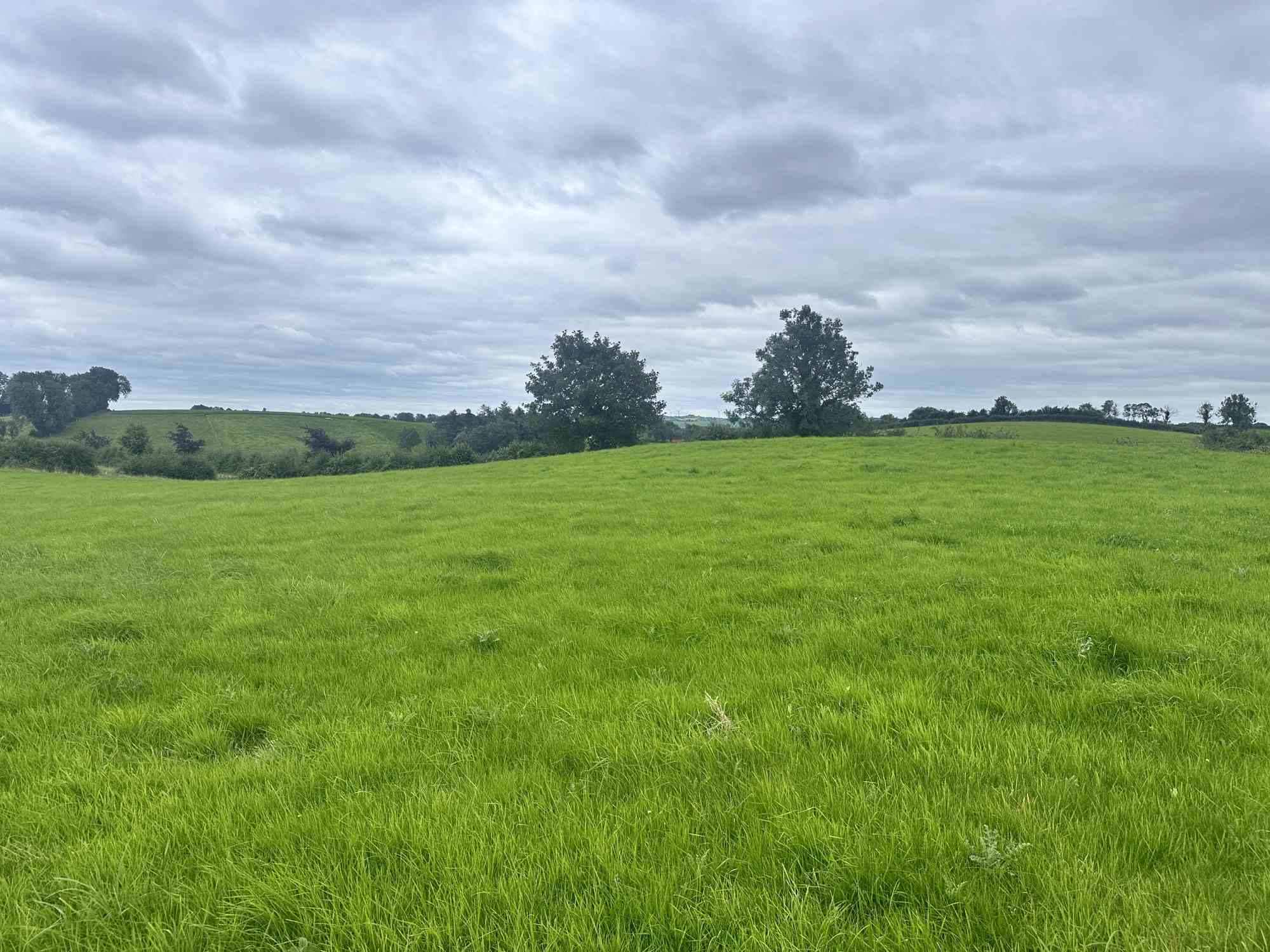 c.15.75 acres at coraghy clones, Clones