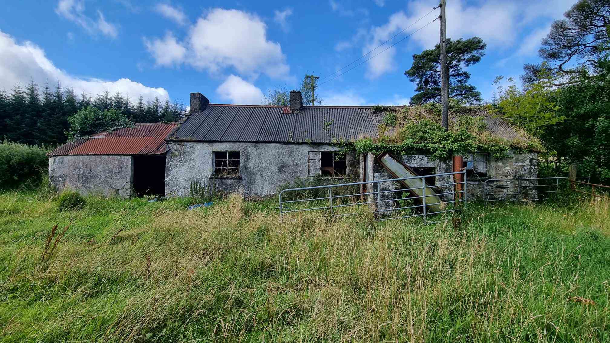 c.12.80 acres at bragan carrickroe, Carrickroe