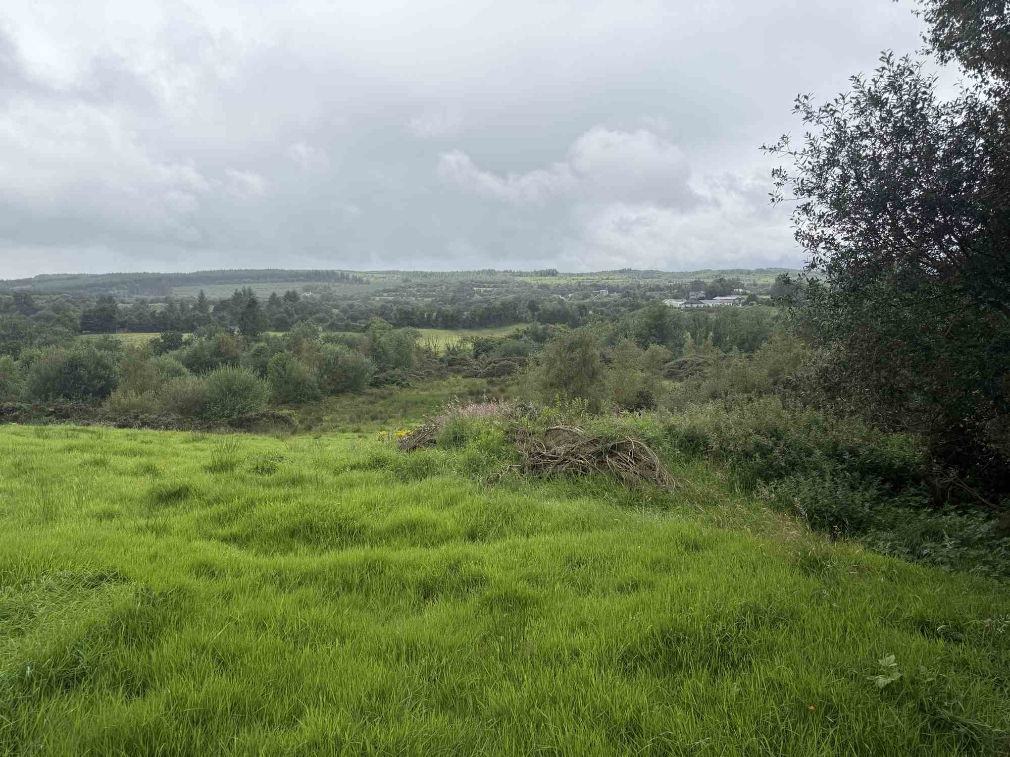 c.23ac at cloghfin carrickroe, Carrickroe