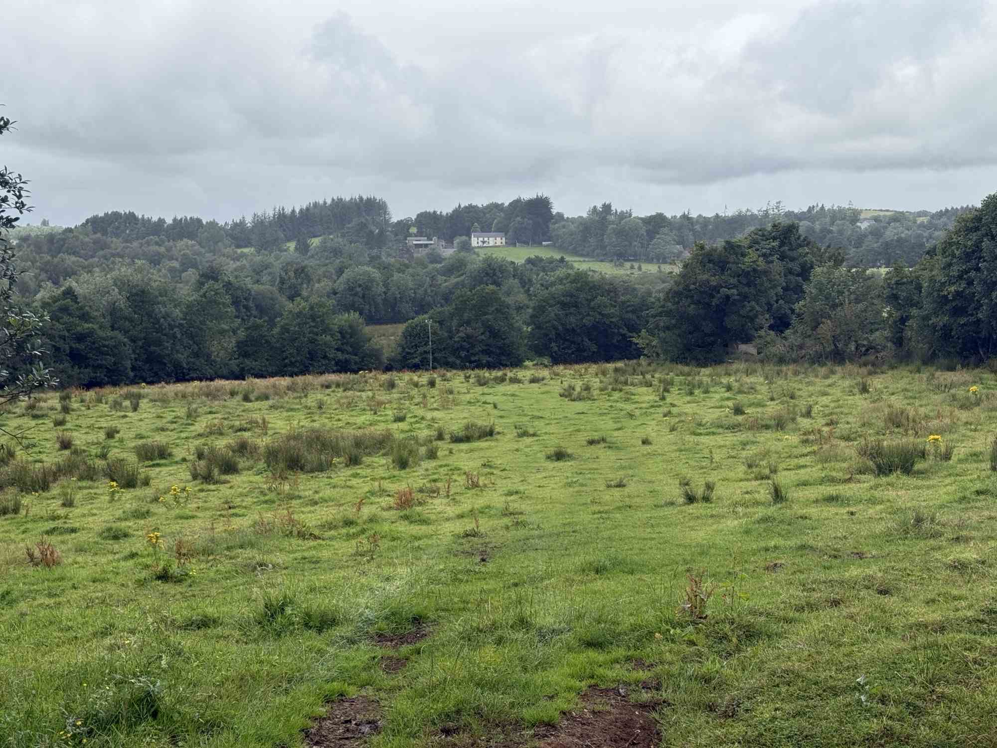 c.23ac at cloghfin carrickroe, Carrickroe