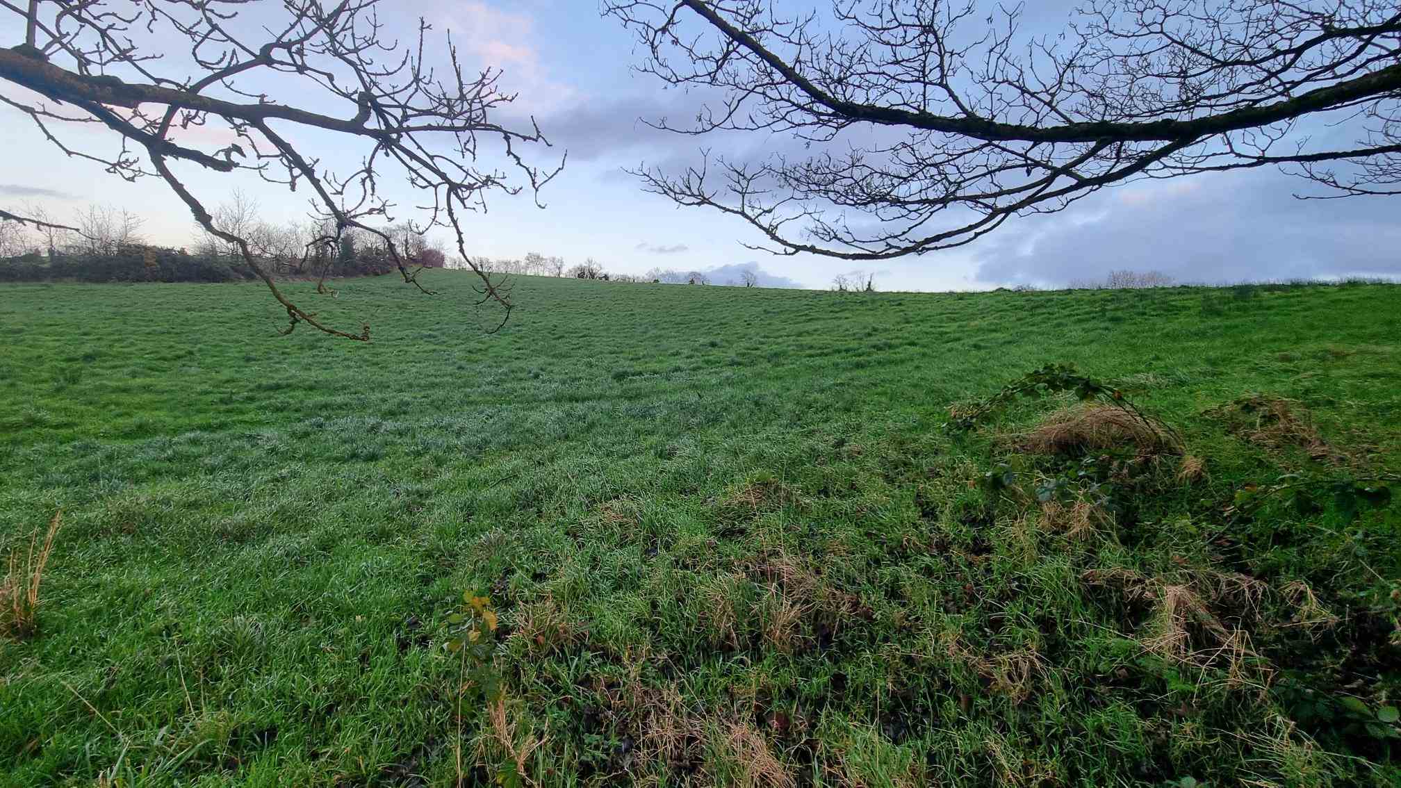 3 sites at dromore stranooden, Stranooden