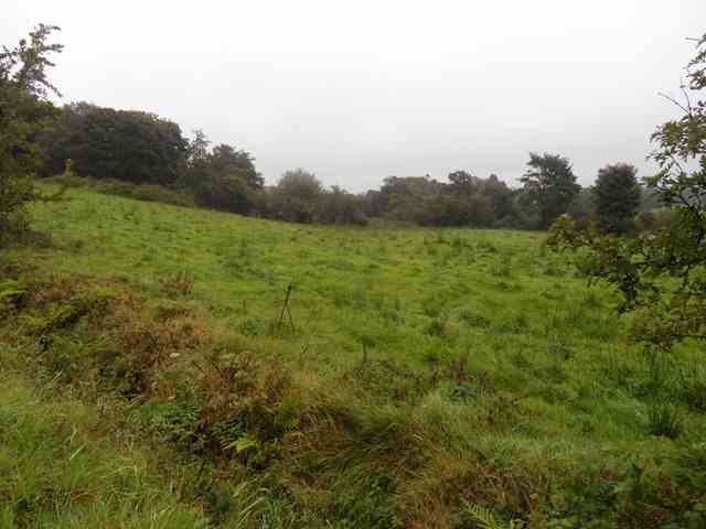 house and c.11.5ac lisdrumcleve latton,                                                                                                     