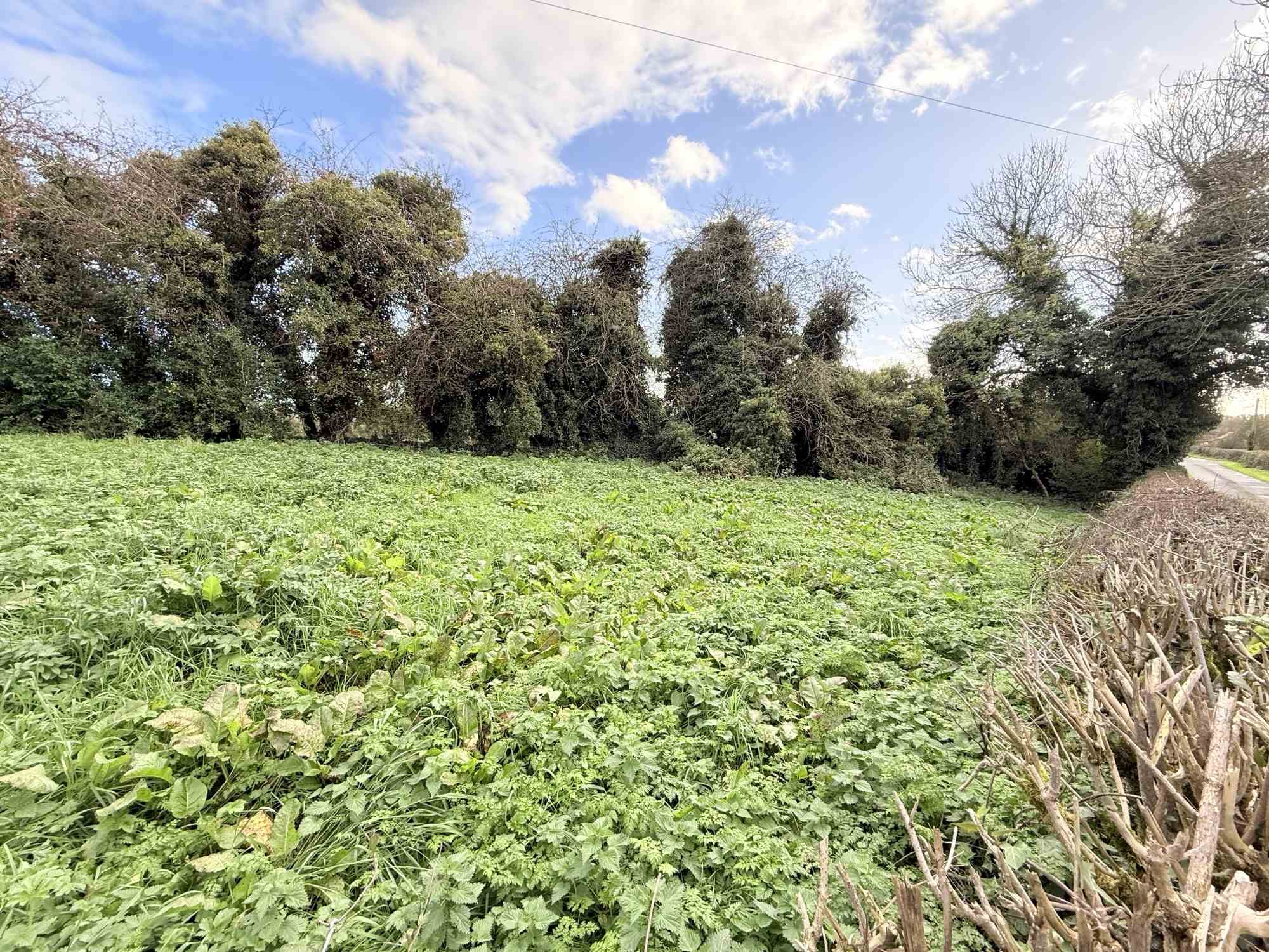 derryleedigan scotstown, Scotstown