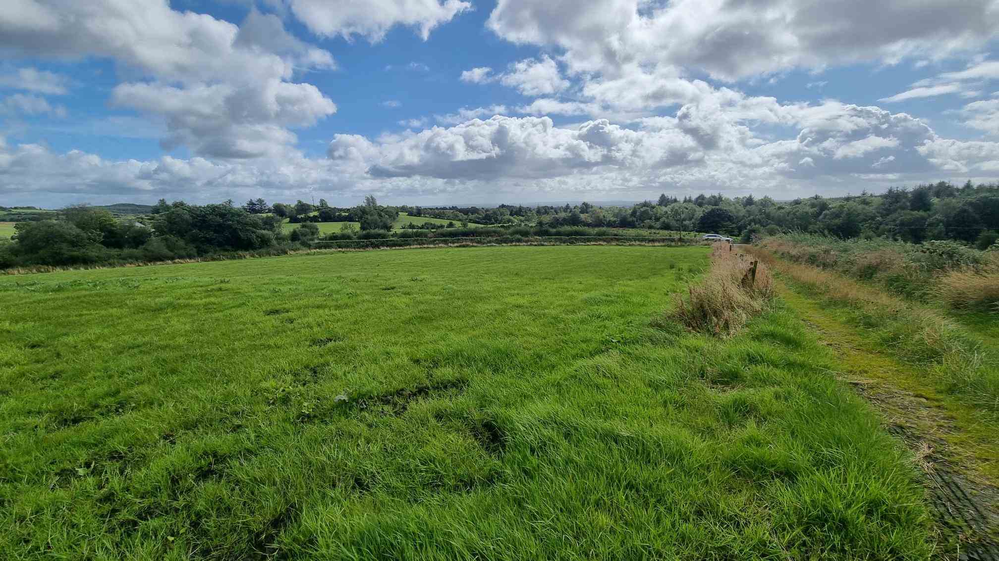 c.12.80 acres at bragan carrickroe, Carrickroe