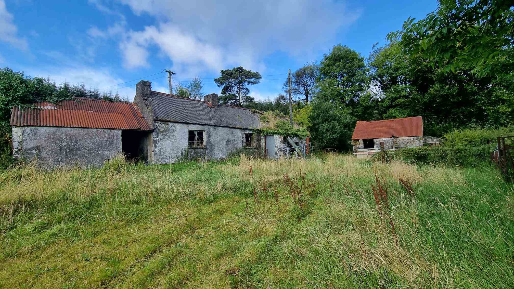 c.12.80 acres at bragan carrickroe, Carrickroe