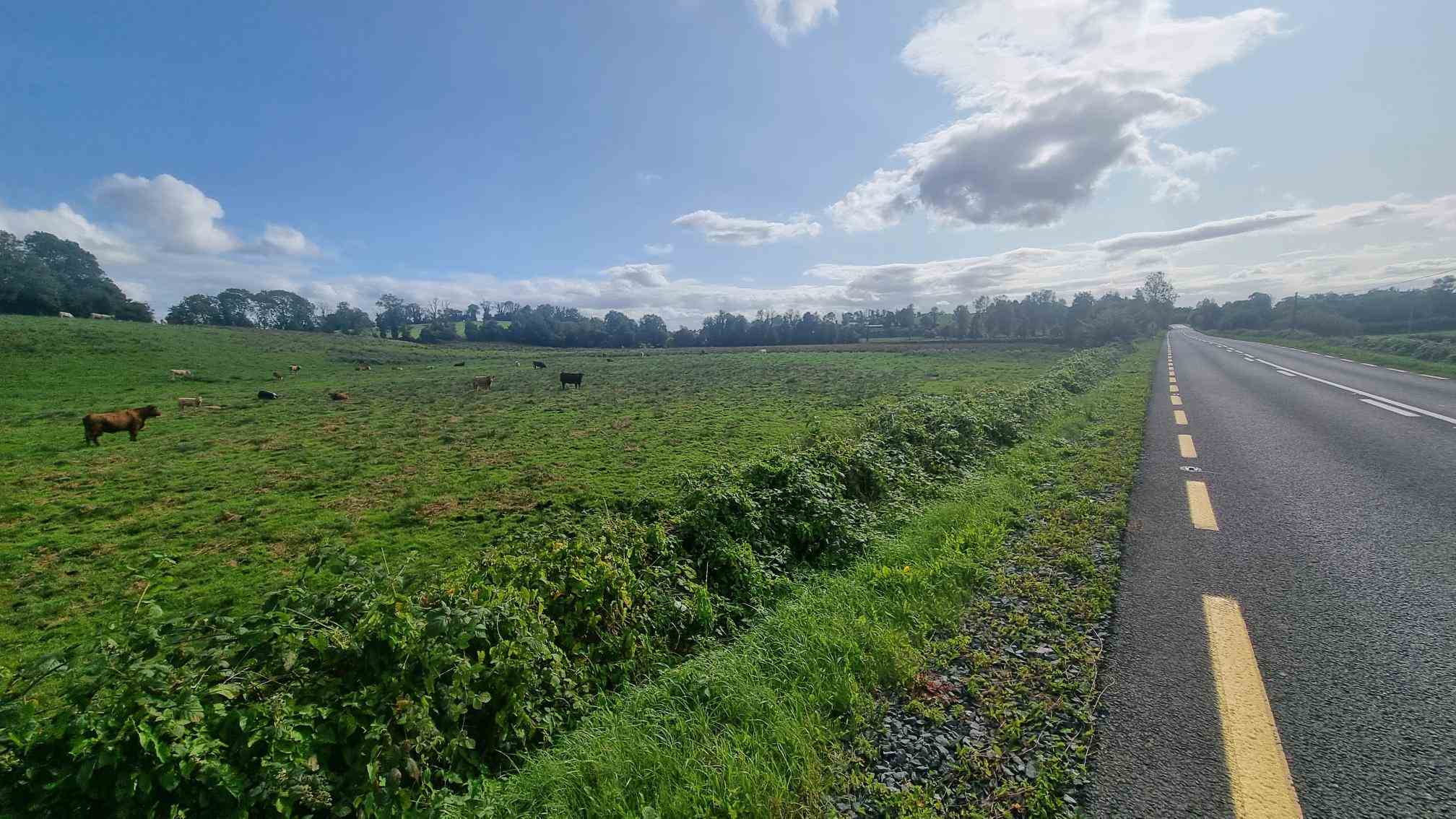 c.25 acres at clonlura drummully clones, Clones