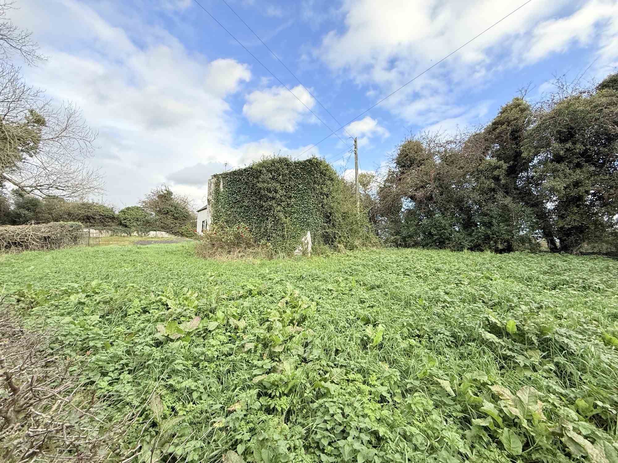 derryleedigan scotstown, Scotstown