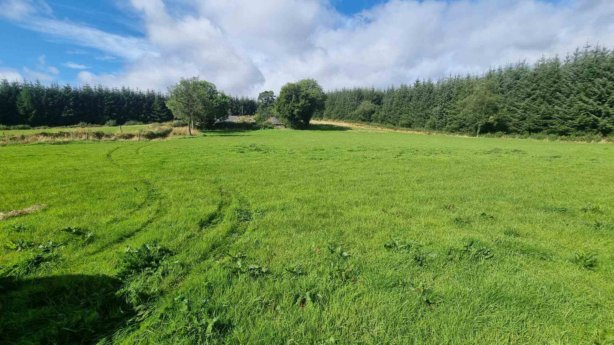 c.12.80 acres at bragan carrickroe, Carrickroe