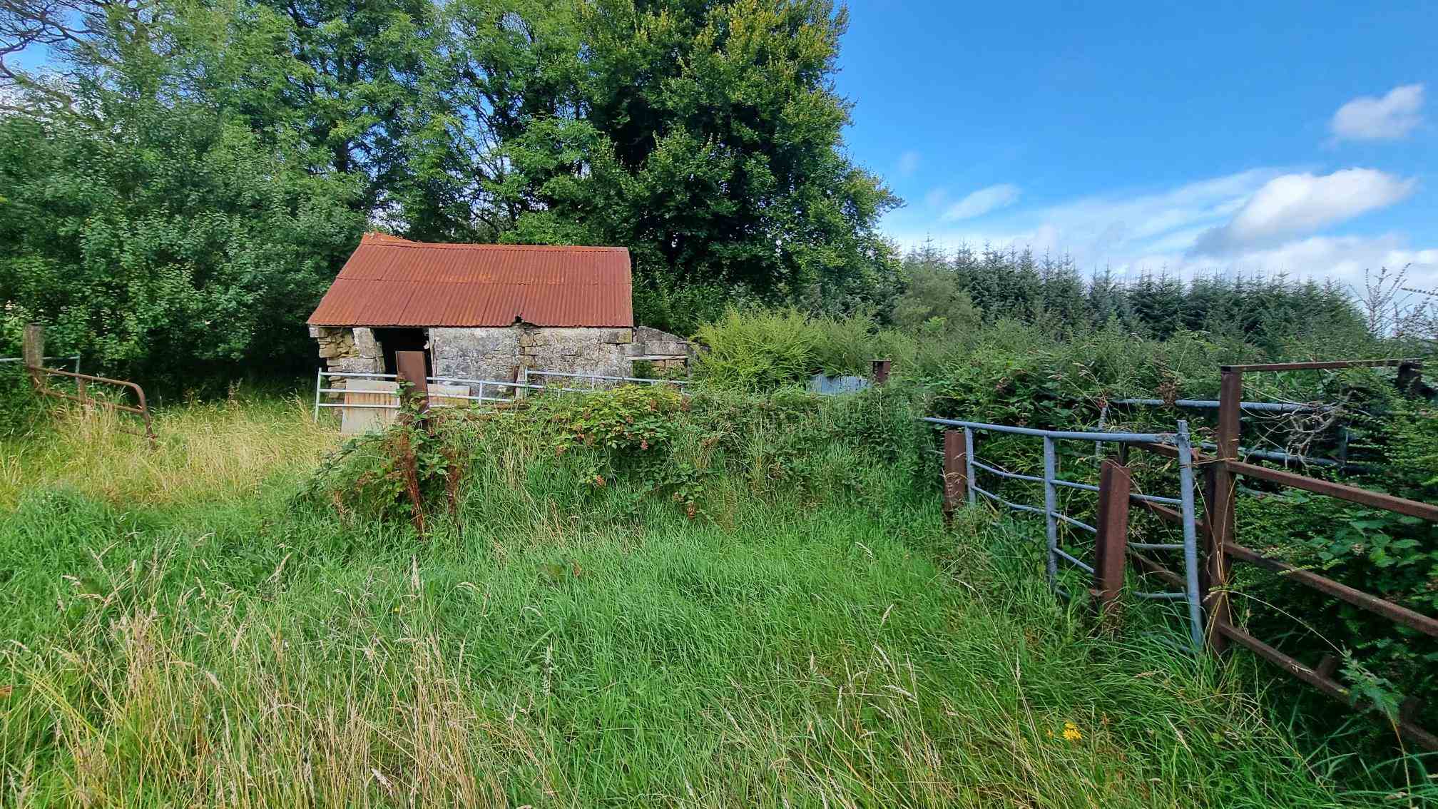 c.12.80 acres at bragan carrickroe, Carrickroe