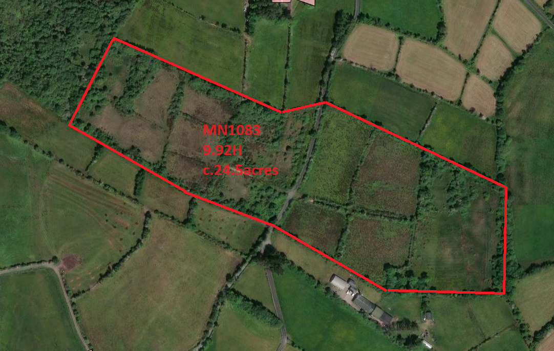 c.24.5 acres at corryarbeg carrickroe, Carrickroe