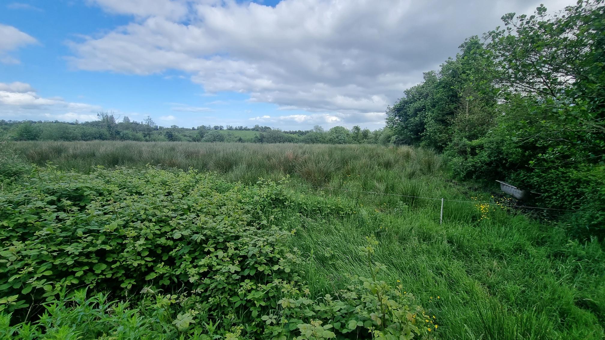 c.24.5 acres at corryarbeg carrickroe, Carrickroe