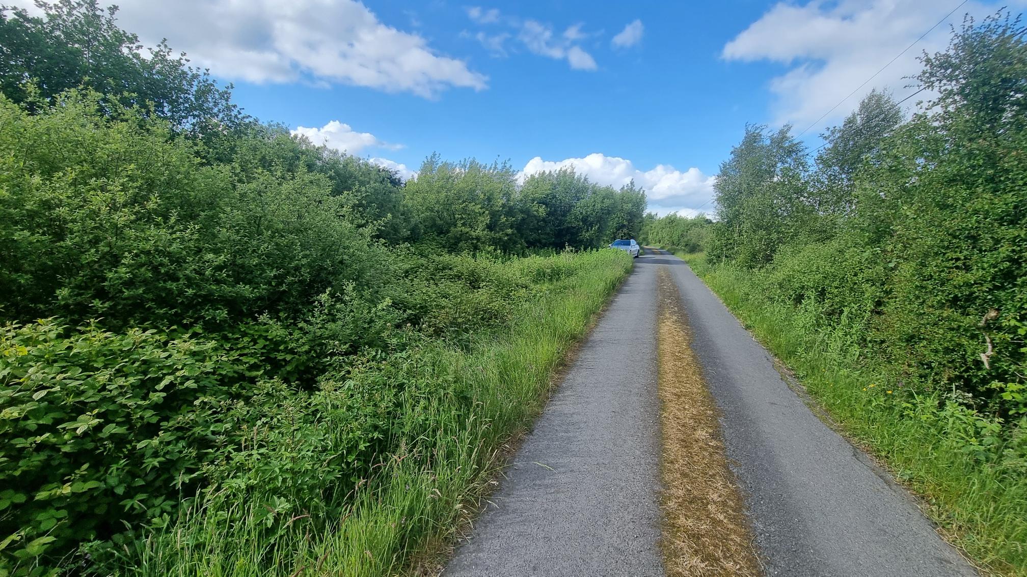 c.24.5 acres at corryarbeg carrickroe, Carrickroe