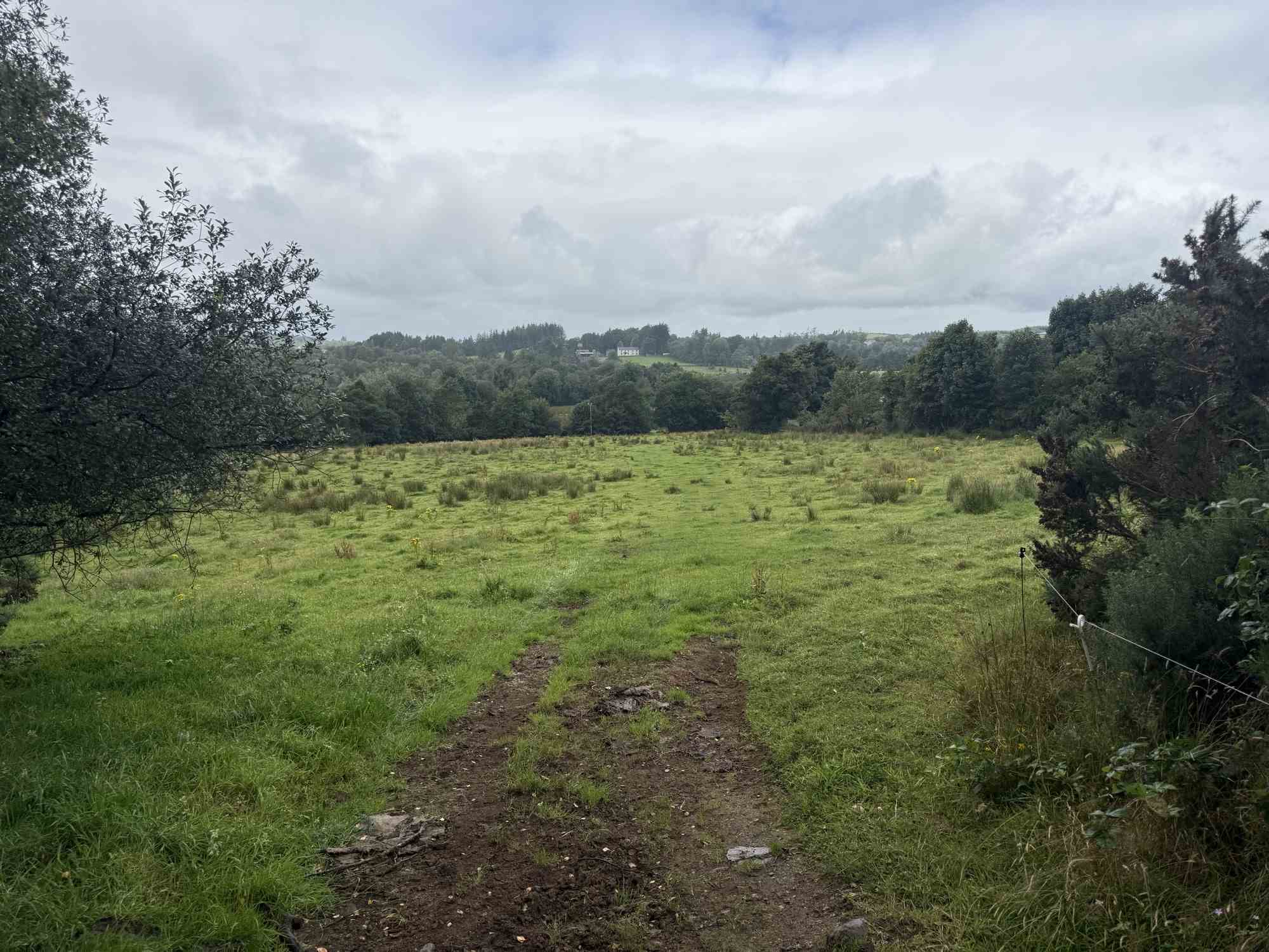 c.23ac at cloghfin carrickroe, Carrickroe