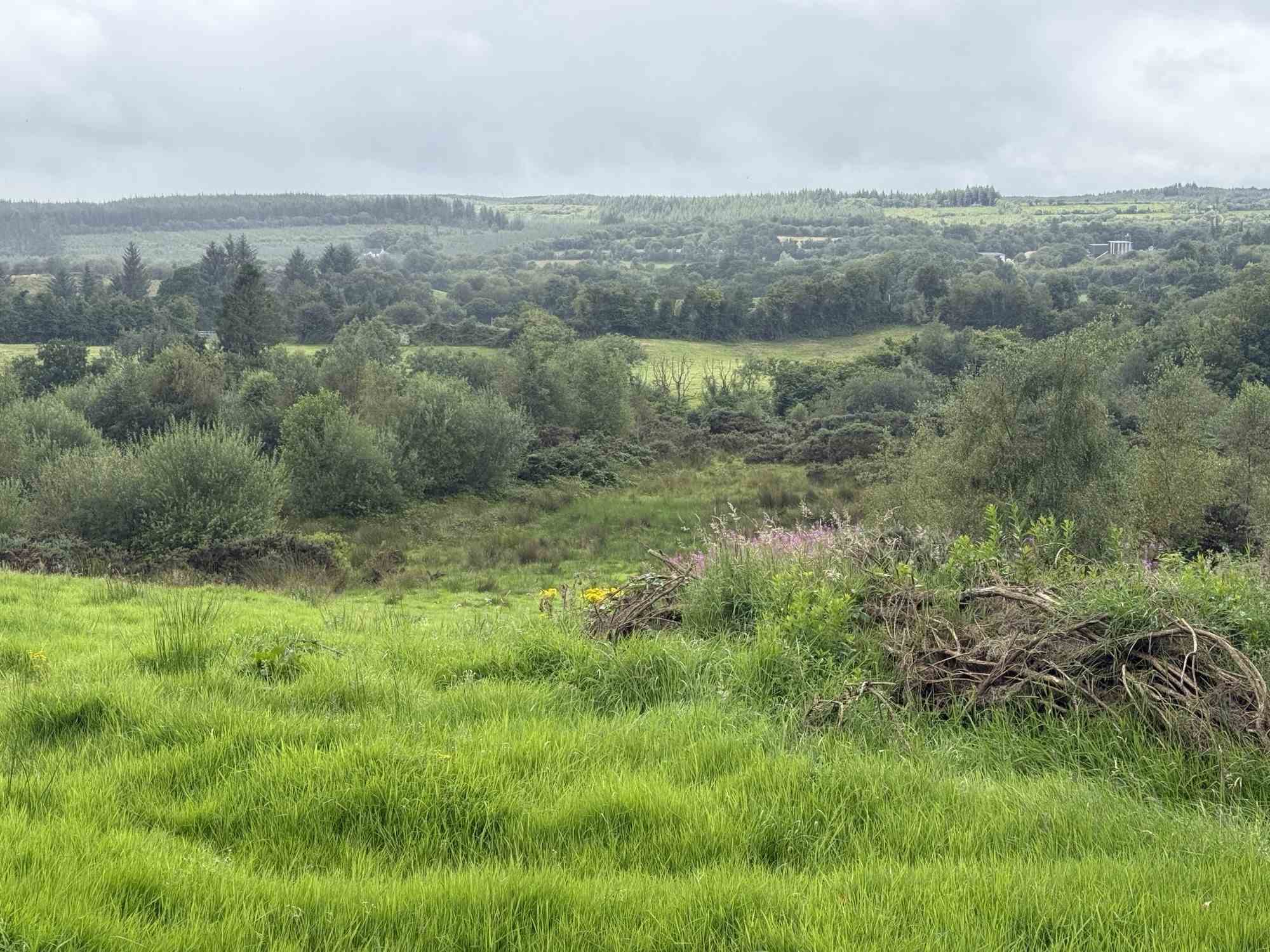 c.23ac at cloghfin carrickroe, Carrickroe