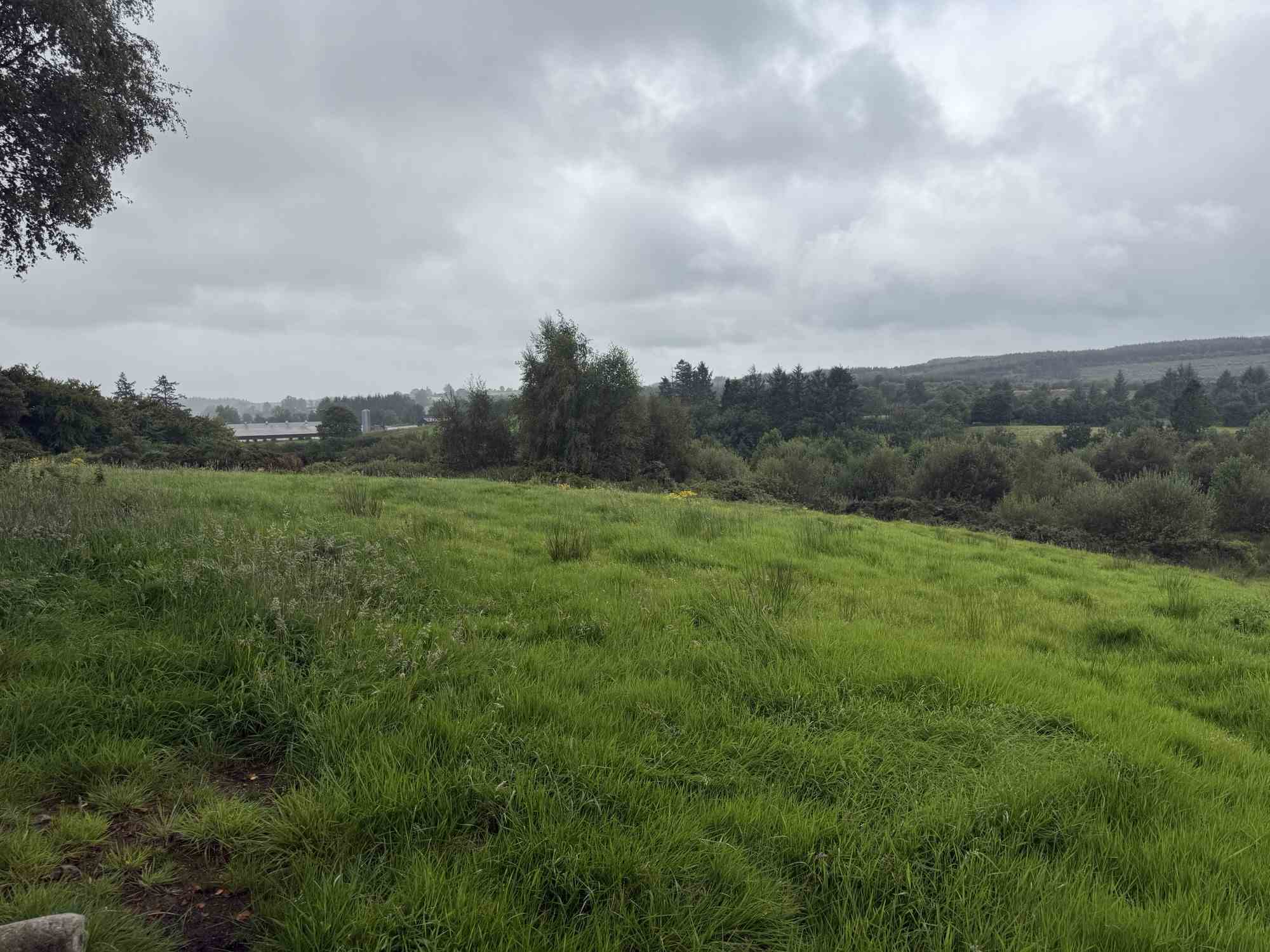 c.23ac at cloghfin carrickroe, Carrickroe
