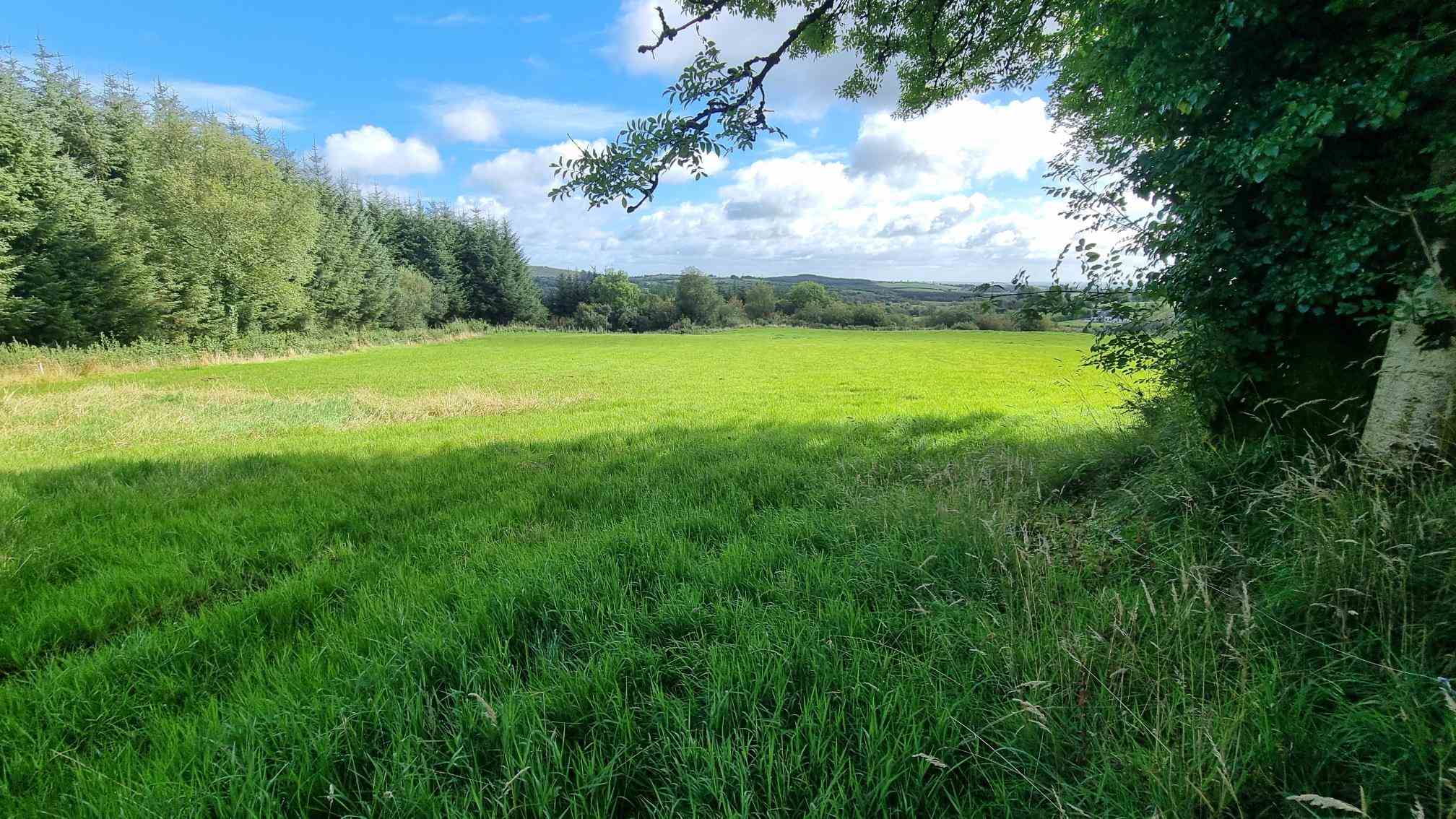 c.12.80 acres at bragan carrickroe, Carrickroe