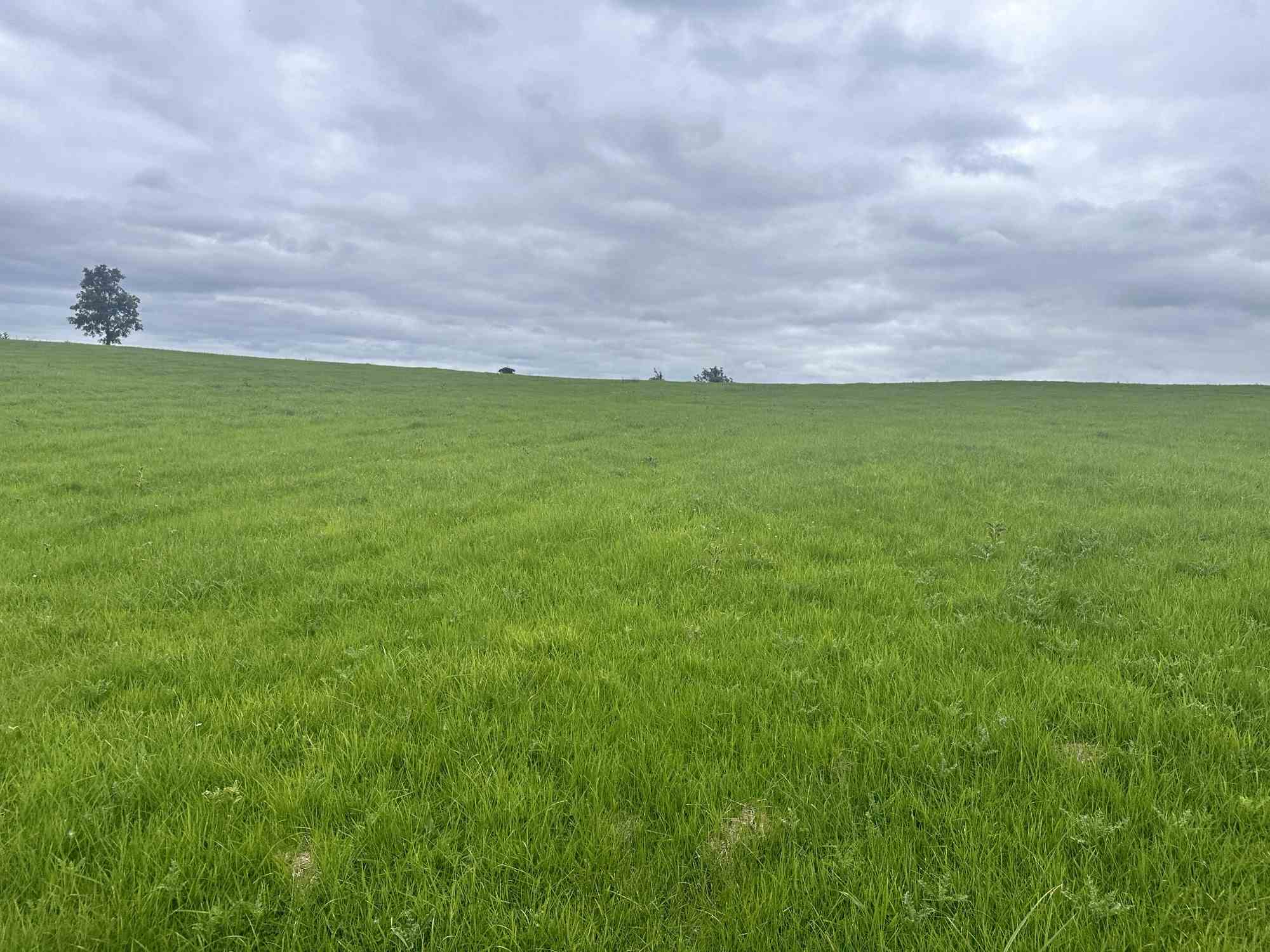 c.15.75 acres at coraghy clones, Clones