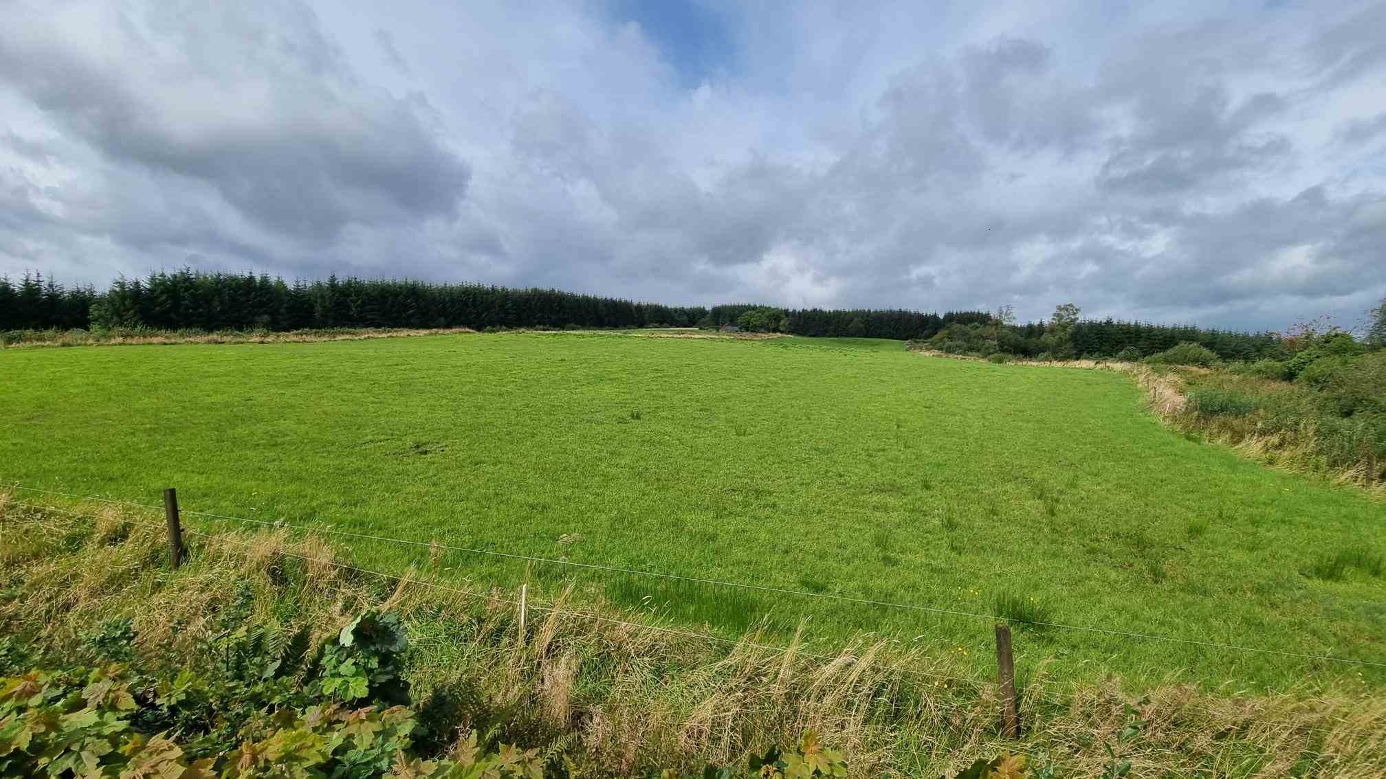 c.12.80 acres at bragan carrickroe, Carrickroe